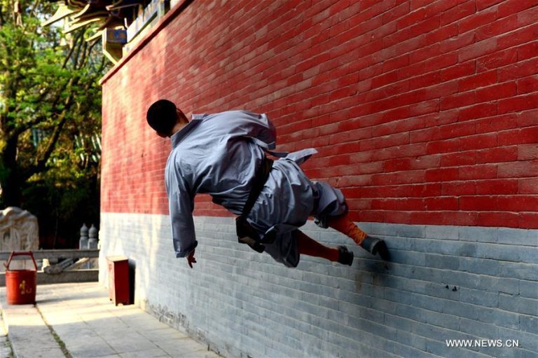 Application of traditional shaolin kungfu