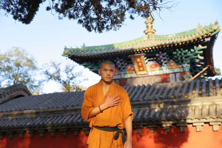 Principles of the Shaolin Quan Style