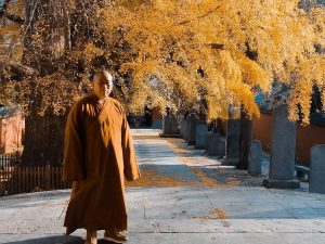 Shaolin Monks Marrying Restriction