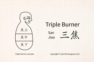 Triple quemador en la medicina china