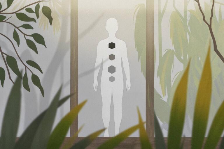 Qi Gong for Five Internal Organs